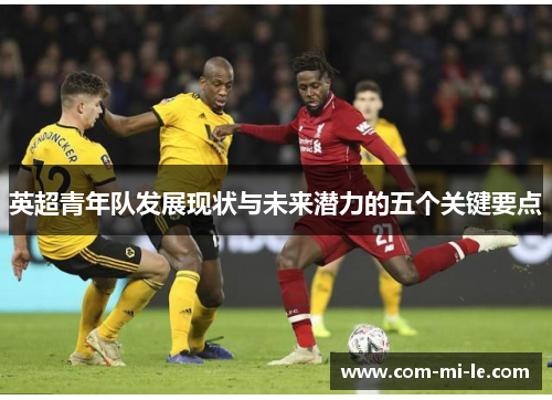英超青年队发展现状与未来潜力的五个关键要点