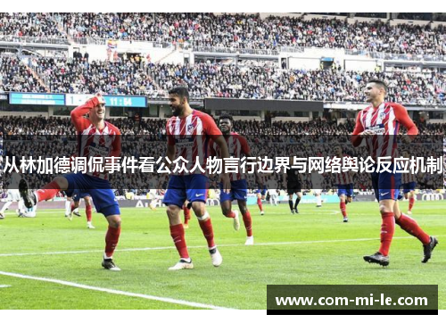 从林加德调侃事件看公众人物言行边界与网络舆论反应机制