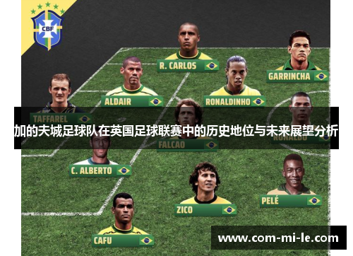 加的夫城足球队在英国足球联赛中的历史地位与未来展望分析