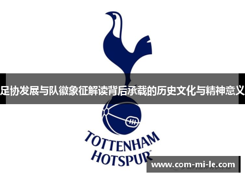 足协发展与队徽象征解读背后承载的历史文化与精神意义