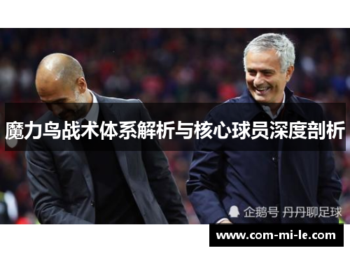 魔力鸟战术体系解析与核心球员深度剖析